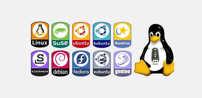 distribuciones linux para empresas españa y latam servidores nas y sistemas erp y crm paginas web